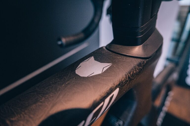 Specialized S-Works Tarmac SL7 Deceuninck - QuickStep