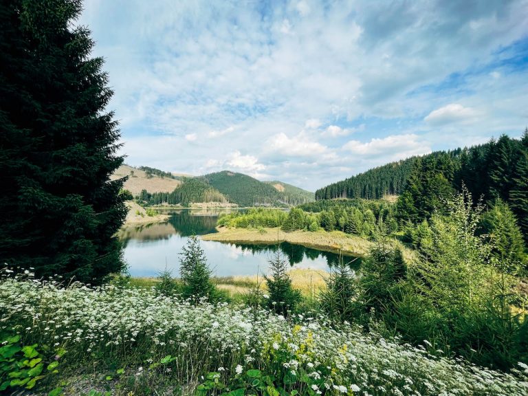 Speichersee am Pumpwerk Goldisthal