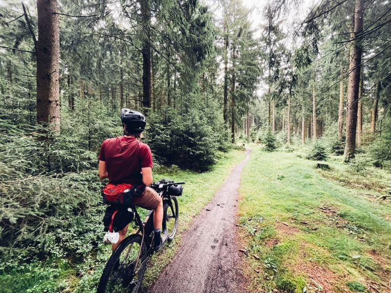 Wie man in den Wald schaut