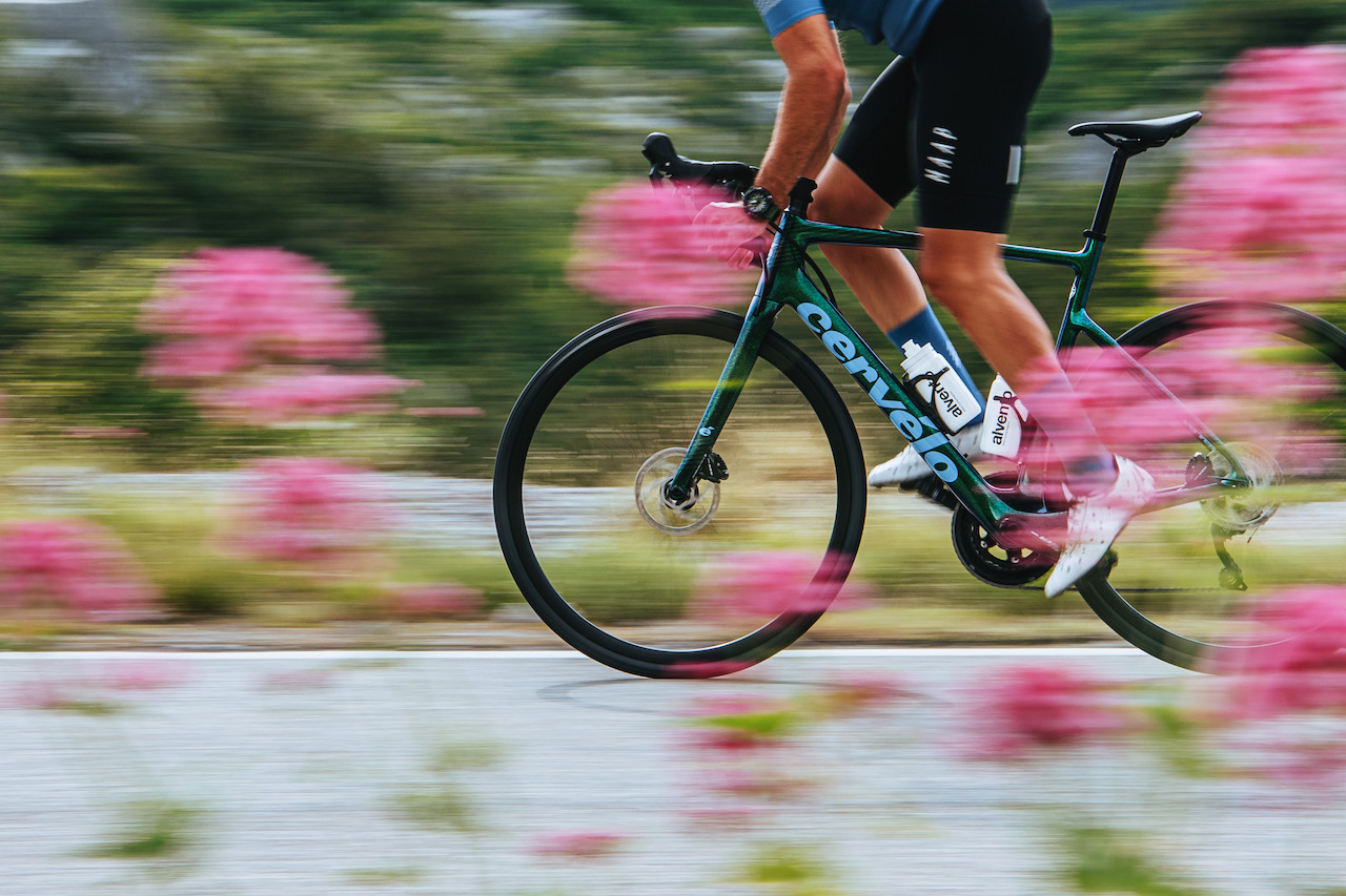 Das cervélo Caledonia im RADsyndikat Rosenheim