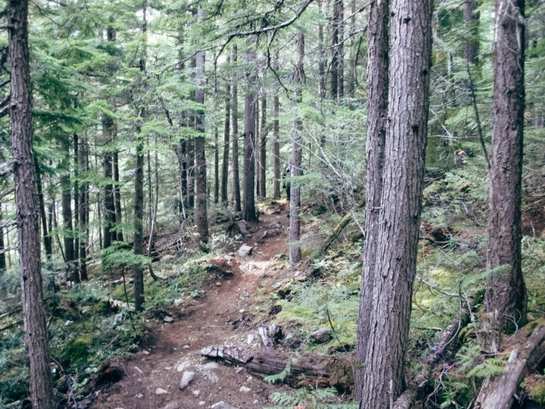Trails in Revelstoke