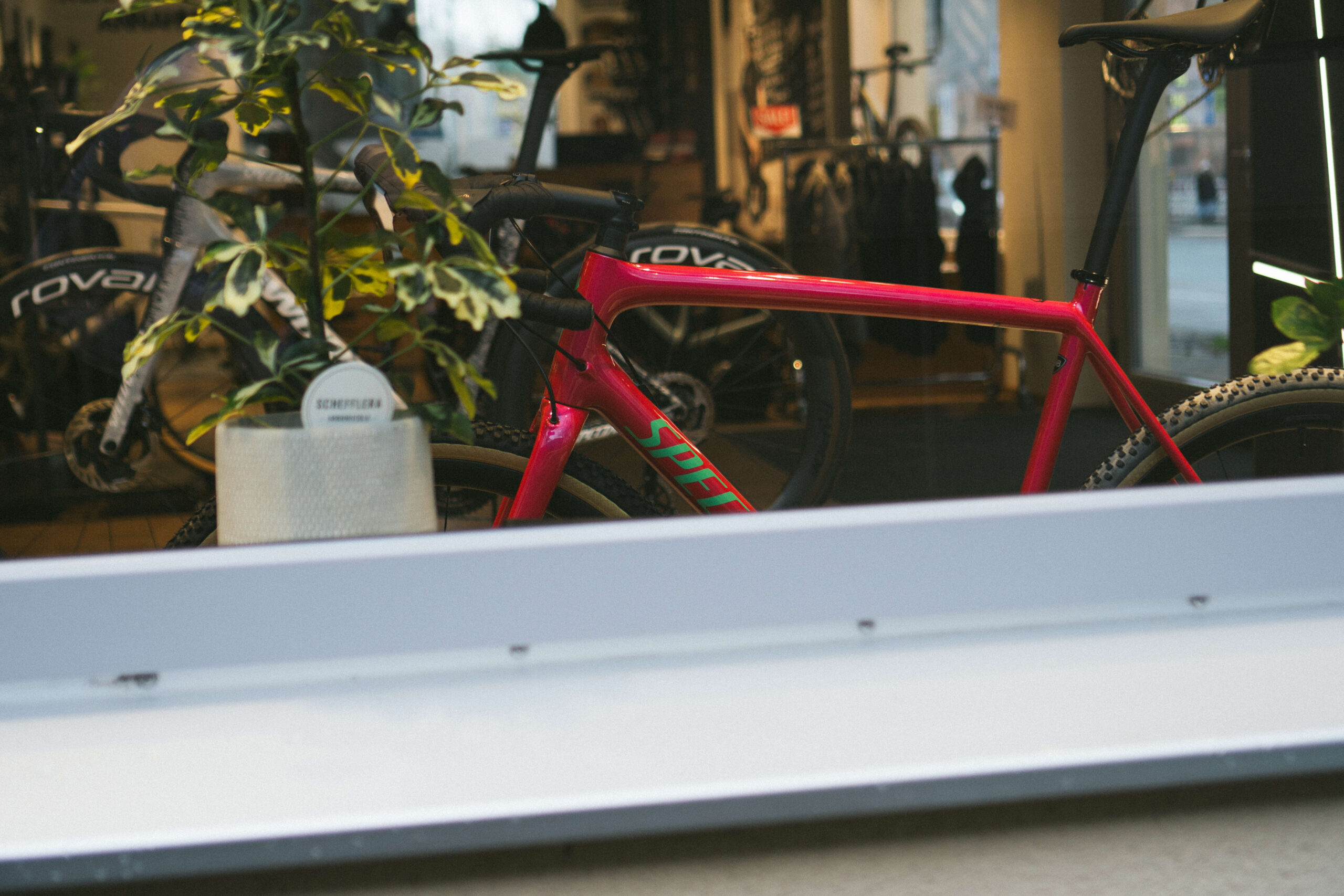 Specialized Crux Comp alias Tiffy