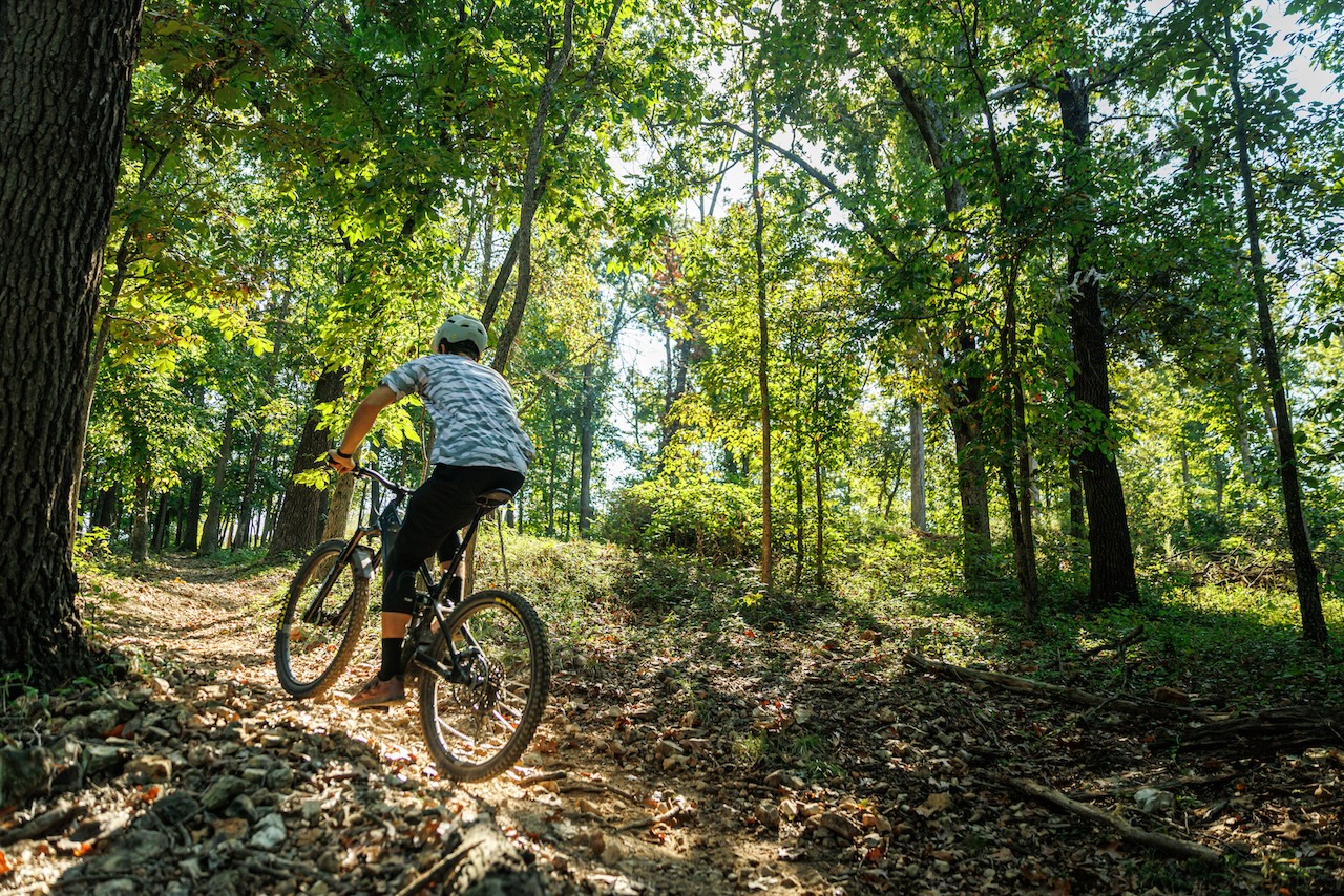 pinkbike Field Test: Forbidden Druid CorE